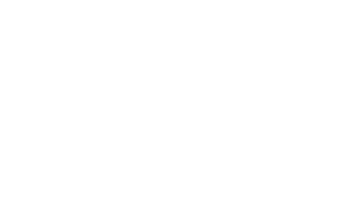 사략 & 보복